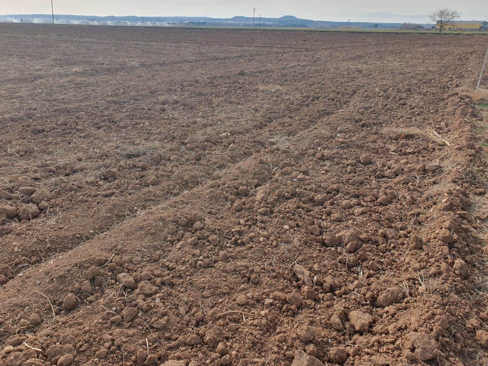 Finca/Country House for sale in Alcazar de San Juan - € 8,500,000 (Ref: 9495067)