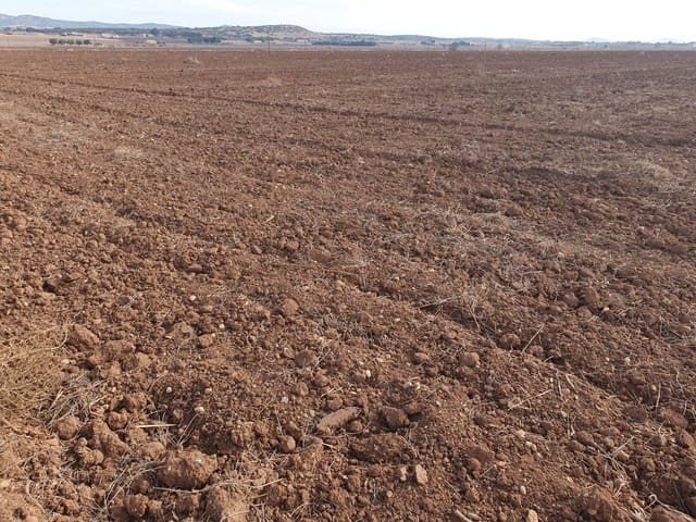 Finca/Country House for sale in Tomelloso - € 2,500,000 (Ref: 9495068)