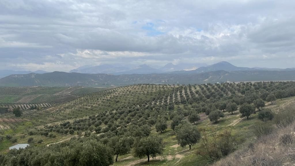 Finka/Dom wiejski na sprzedaż w Miasto Grenada - 9 500 000 € (Ref: 9495069)