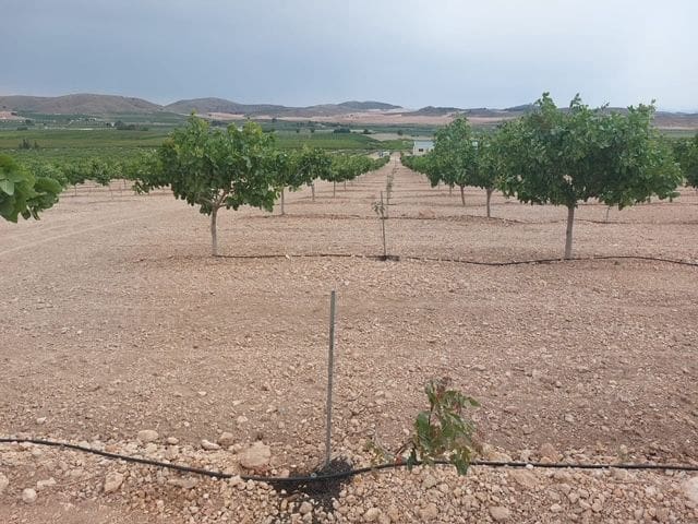 Finca/Country House for sale in Churra - € 2,500,000 (Ref: 9495070)