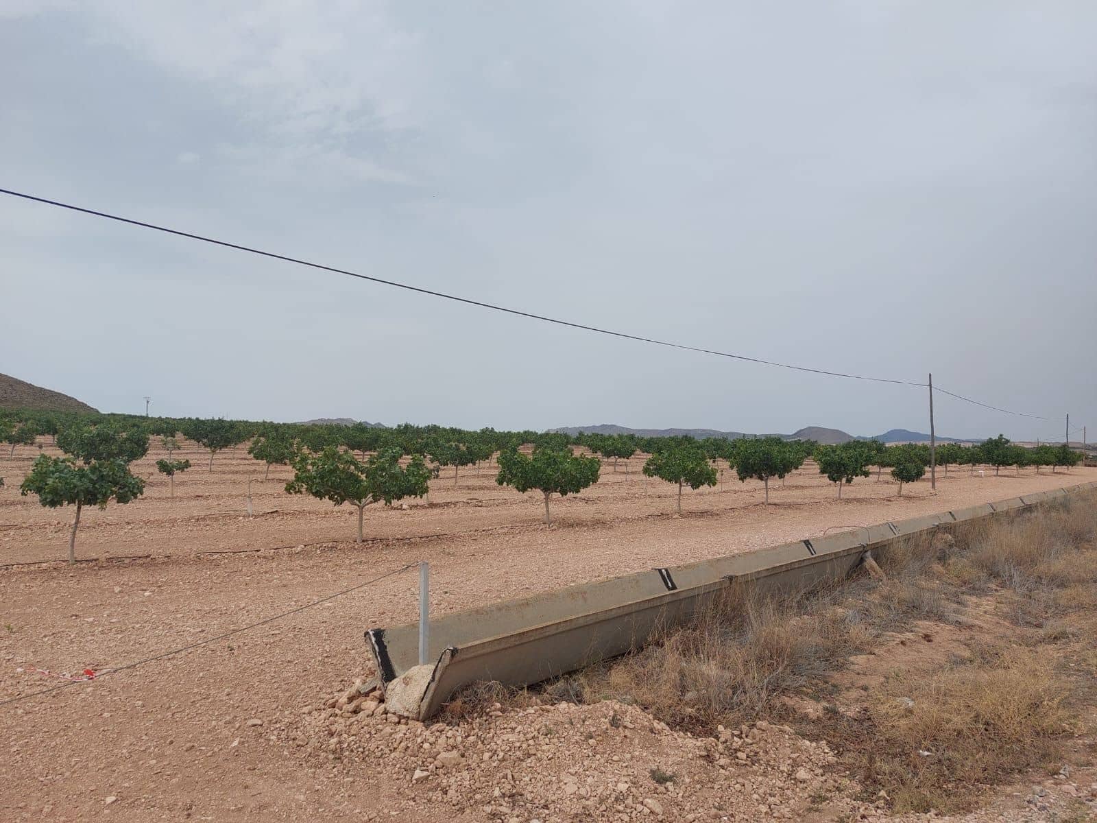 Finca/Country House for sale in Churra - € 2,500,000 (Ref: 9495070)