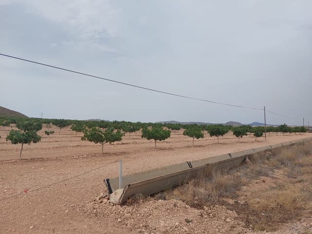 Maalaistalo myytävänä paikassa Churra, Murcia kaupunki - 2 500 000 € (Ref: 9495070)