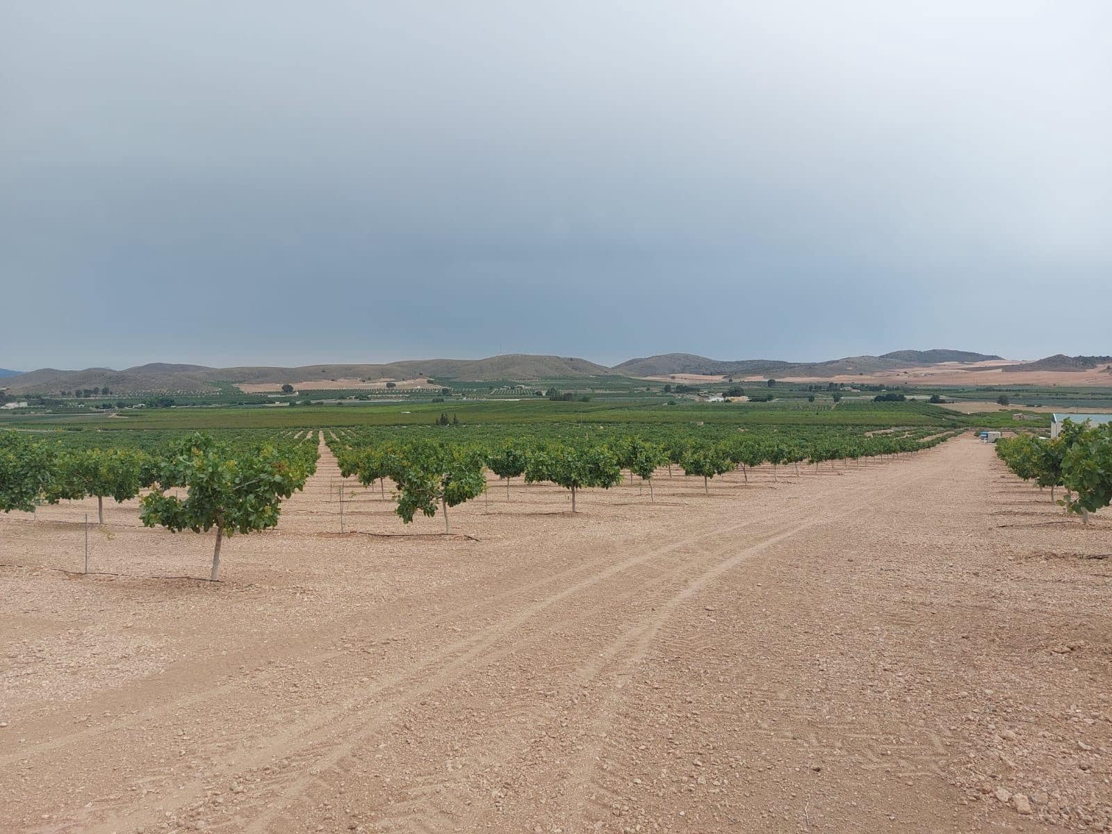 Finca/Country House for sale in Churra - € 2,500,000 (Ref: 9495070)