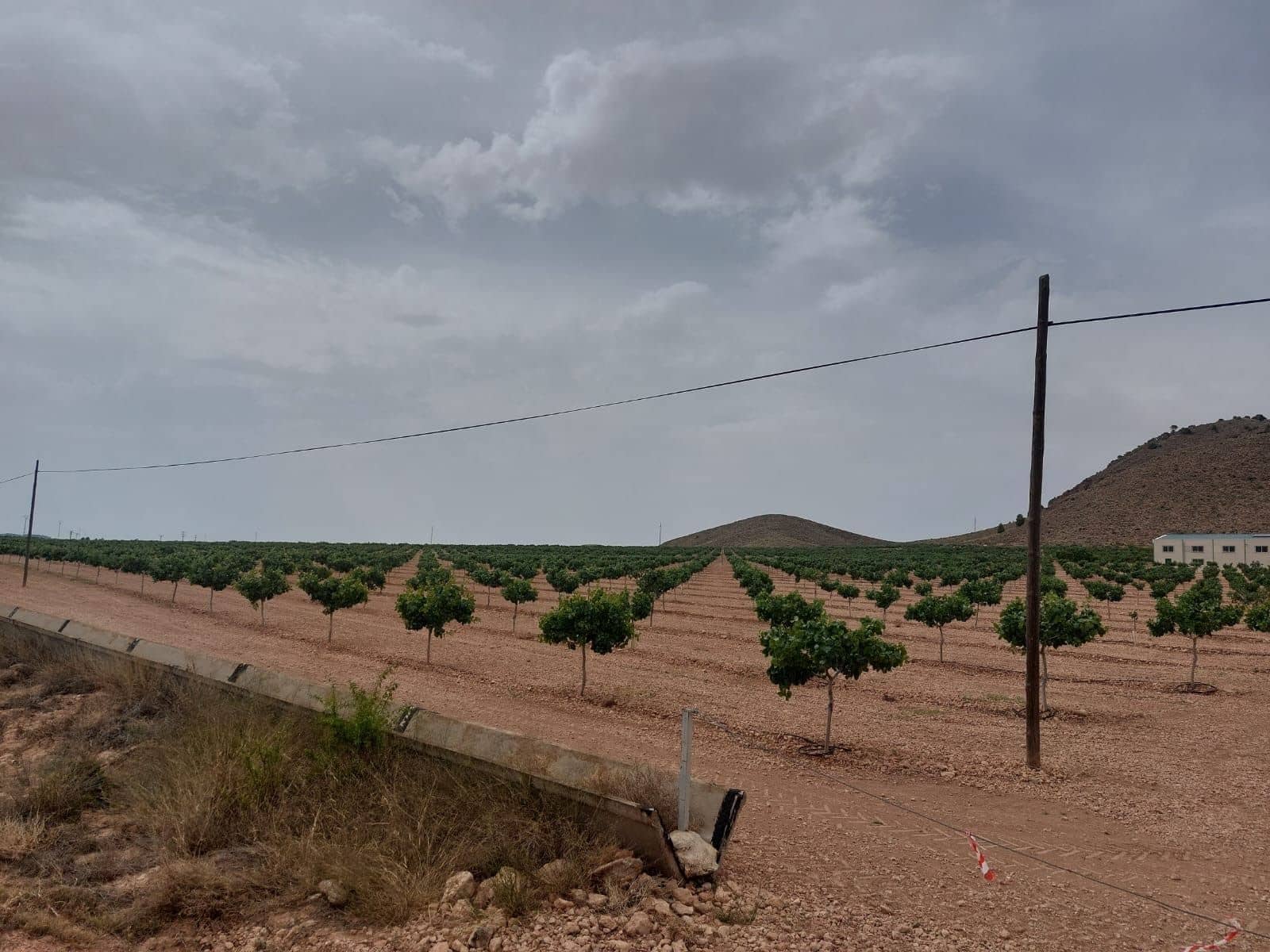 Finca/Country House for sale in Churra - € 2,500,000 (Ref: 9495070)