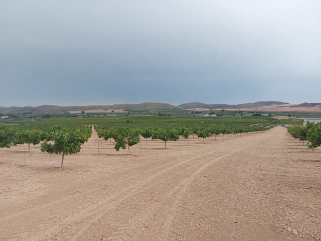 Maalaistalo myytävänä paikassa Churra, Murcia kaupunki - 2 500 000 € (Ref: 9495070)