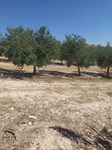 Finca/Casa Rural en Ubeda en venta - 4.500.000 € (Ref: 9495071)