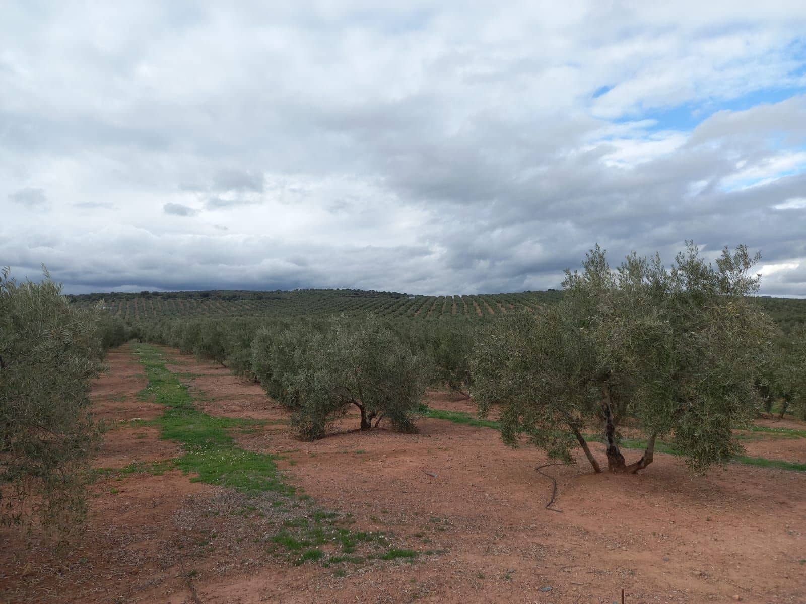 Finca/Landgut zu verkaufen in Ciudad Real Stadt - 3.800.000 € (Ref: 9495072)