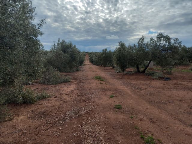 Finca/Landgut zu verkaufen in Ciudad Real Stadt - 3.800.000 € (Ref: 9495072)