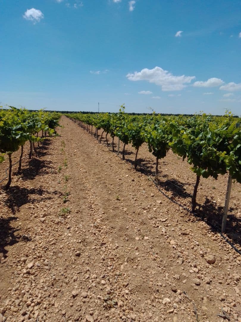 Finca/Country House for sale in Alhambra - € 5,200,000 (Ref: 9495073)