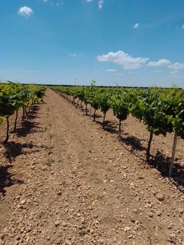 Finka/Dom wiejski na sprzedaż w Alhambra - 5 200 000 € (Ref: 9495073)