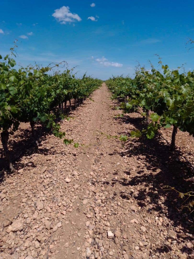 Finca/Country House for sale in Alhambra - € 5,200,000 (Ref: 9495073)