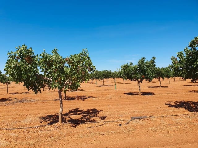 Finka/Dom wiejski na sprzedaż w Alhambra - 5 200 000 € (Ref: 9495073)