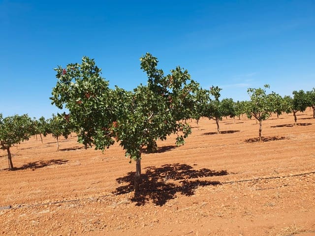 Finka/Dom wiejski na sprzedaż w Alhambra - 5 200 000 € (Ref: 9495073)