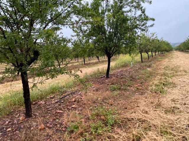 Quinta/Casa Rural para venda em Yecla - 3 200 000 € (Ref: 9495074)