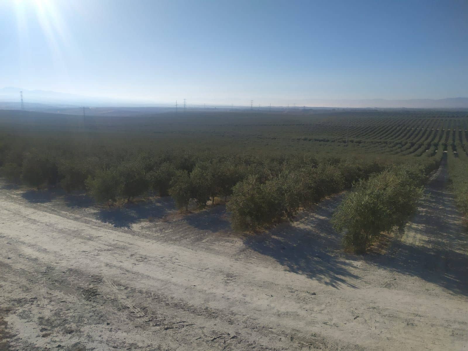 Finca/Country House for sale in Seville city - € 65,000 (Ref: 9495076)