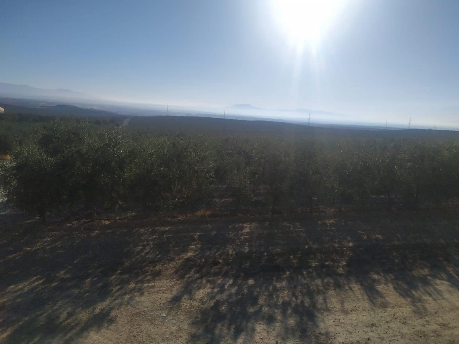 Finca/Country House for sale in Seville city - € 65,000 (Ref: 9495076)