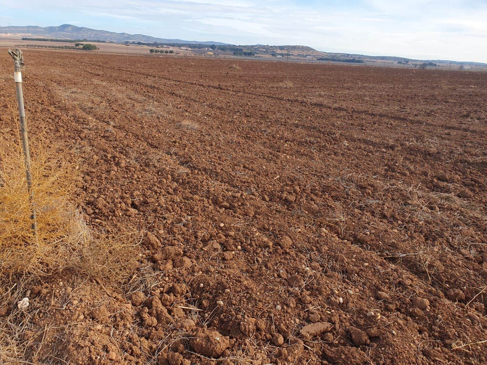 Finca/Country House for sale in Miguelturra - € 4,500,000 (Ref: 9495077)