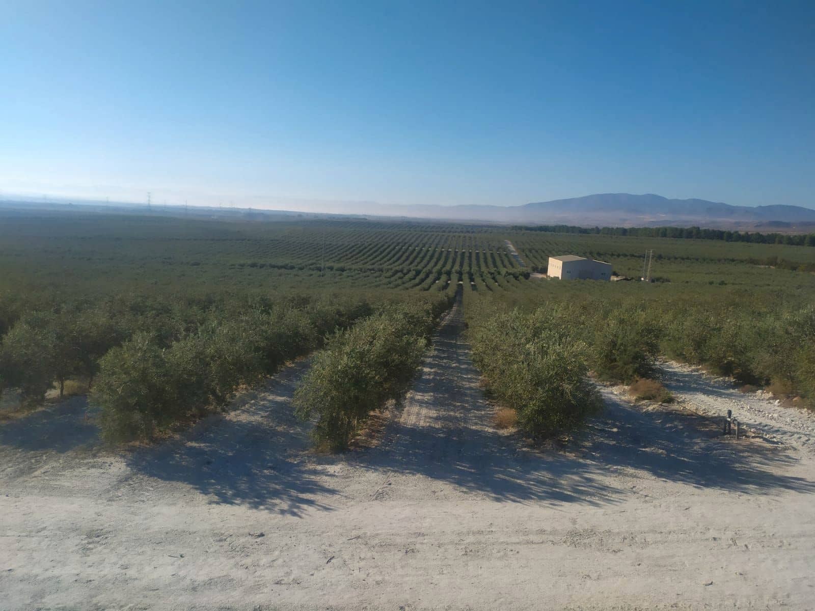 Finca/Country House for sale in Cortes de Baza - € 2,900,000 (Ref: 9495079)