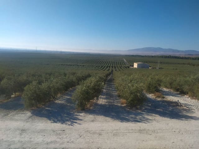 Finca/Herregård til salgs i Cortes de Baza - € 2 900 000 (Ref: 9495079)