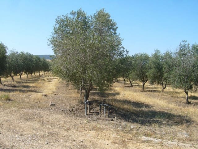 Finca/Herregård til salgs i Cortes de Baza - € 2 900 000 (Ref: 9495079)