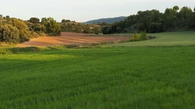 Maalaistalo myytävänä paikassa Pedanías, Albacete kaupunki - 8 500 000 € (Ref: 9495082)