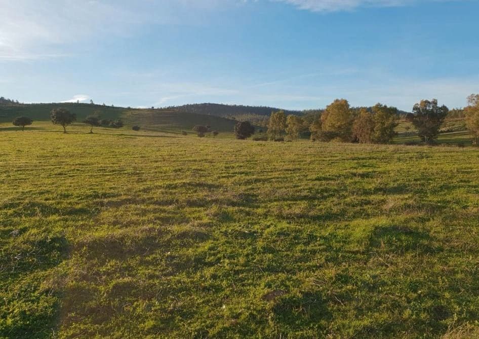 Maalaistalo myytävänä paikassa Albacete kaupunki - 8 500 000 € (Ref: 9495082)