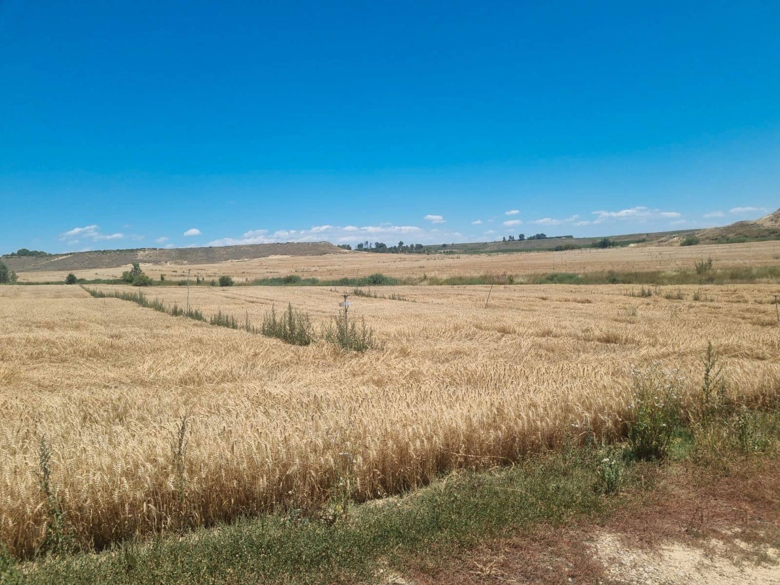 Maalaistalo myytävänä paikassa Albacete kaupunki - 8 500 000 € (Ref: 9495082)