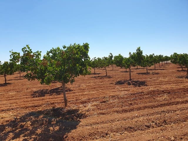 Finka/Dom wiejski na sprzedaż w Tomelloso - 9 000 000 € (Ref: 9495083)