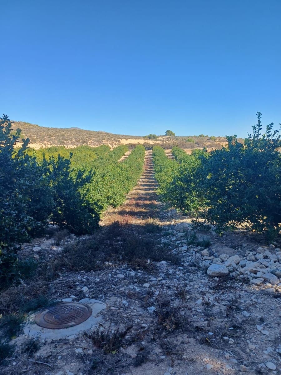 Finca/Landehus til salg i Murcia by - € 7.000.000 (Ref: 9495085)