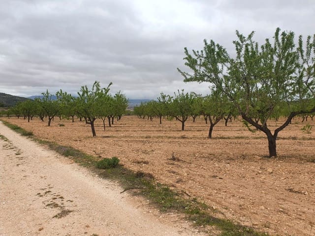 Finca/Landgut zu verkaufen in Florida Baja, Alicante / Alacant Stadt - 500.000 € (Ref: 9495086)