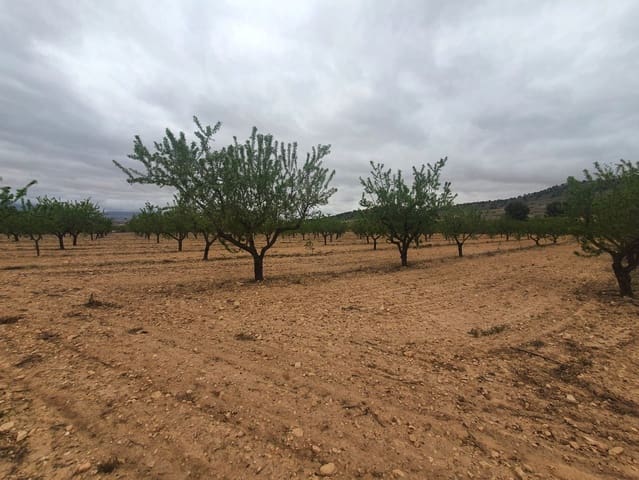 Finca/Landgut zu verkaufen in Florida Baja, Alicante / Alacant Stadt - 500.000 € (Ref: 9495086)