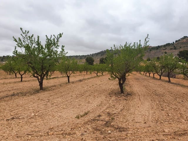 Finca/Landgut zu verkaufen in Florida Baja, Alicante / Alacant Stadt - 500.000 € (Ref: 9495086)