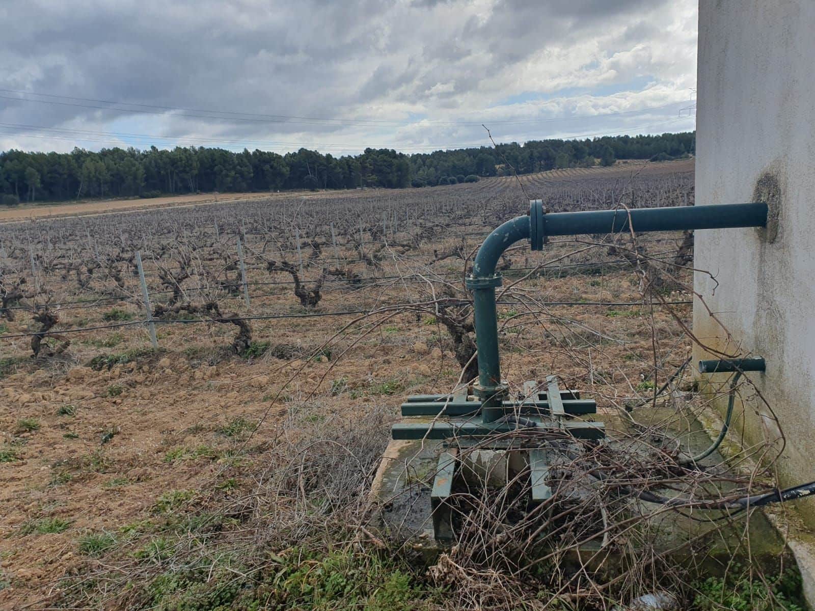 Finca/Country House for sale in Requena - € 600,000 (Ref: 9495087)