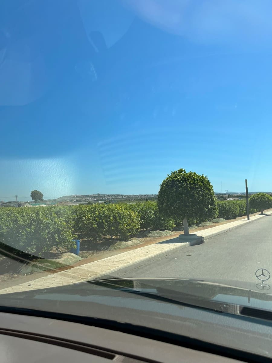 Finca/Country House for sale in Los Montesinos - € 3,700,000 (Ref: 9495088)