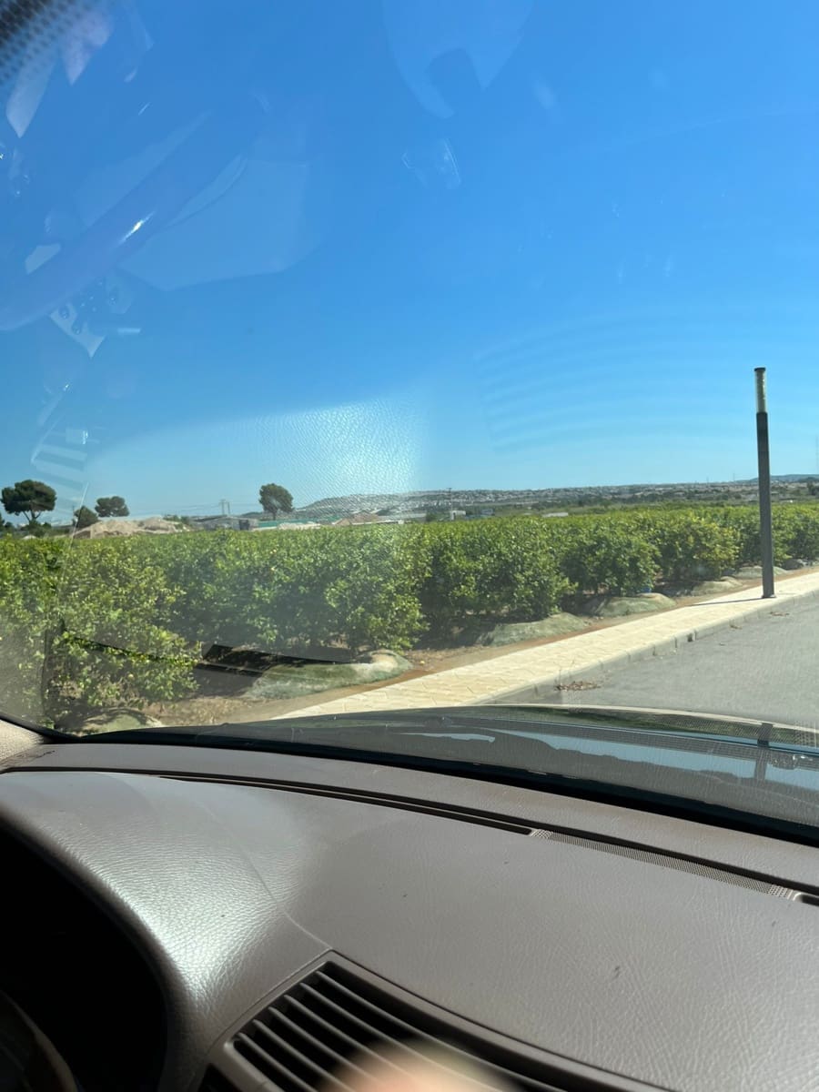 Finca/Country House for sale in Los Montesinos - € 3,700,000 (Ref: 9495088)