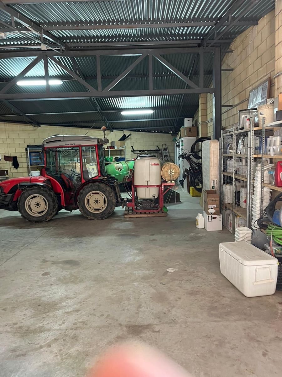 Finca/Country House for sale in Los Montesinos - € 3,700,000 (Ref: 9495088)