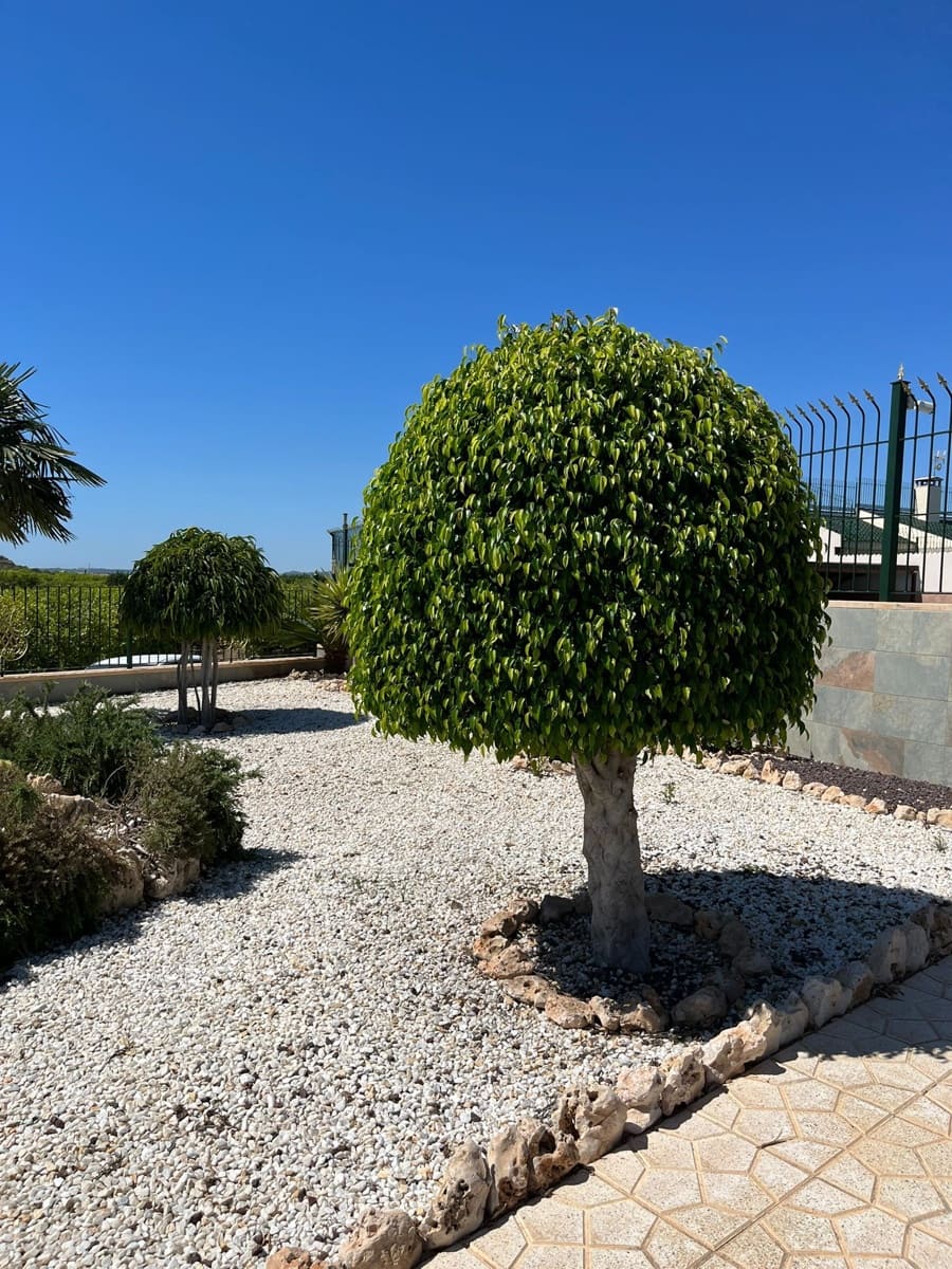 Finca/Country House for sale in Los Montesinos - € 3,700,000 (Ref: 9495088)