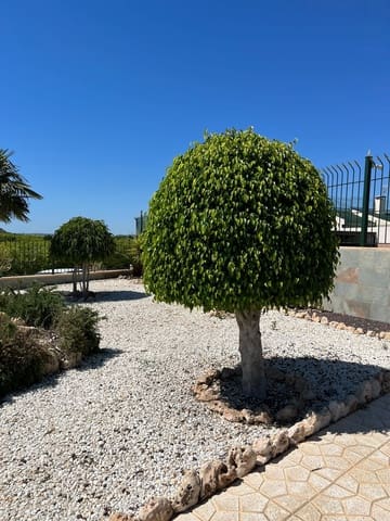 Quinta/Casa Rural para venda em Los Montesinos - 3 700 000 € (Ref: 9495088)