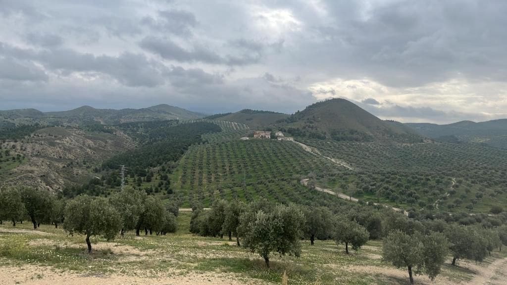 Finca/Country House for sale in Ciudad Real city - € 6,000,000 (Ref: 9495089)