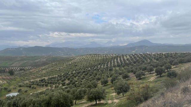 Finca/Country House for sale in Ciudad Real city - € 6,000,000 (Ref: 9495089)