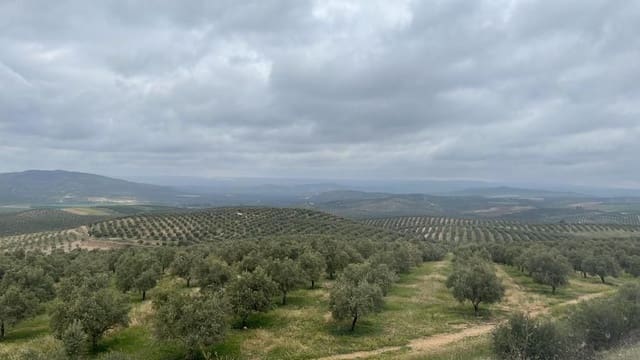 Finca/Country House for sale in Ciudad Real city - € 6,000,000 (Ref: 9495089)