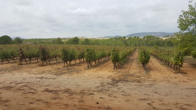 Quinta/Casa Rural para venda em Yecla - 2 800 000 € (Ref: 9495090)