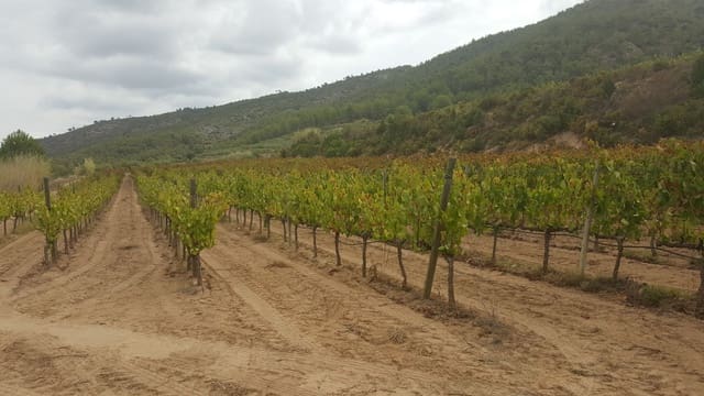 Quinta/Casa Rural para venda em Yecla - 2 800 000 € (Ref: 9495090)