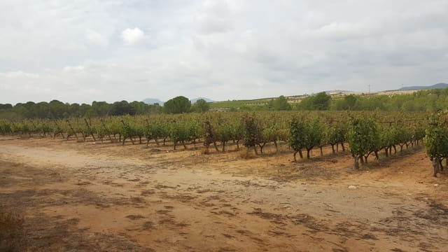 Quinta/Casa Rural para venda em Yecla - 2 800 000 € (Ref: 9495090)