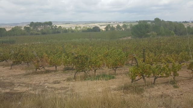 Quinta/Casa Rural para venda em Yecla - 2 800 000 € (Ref: 9495090)