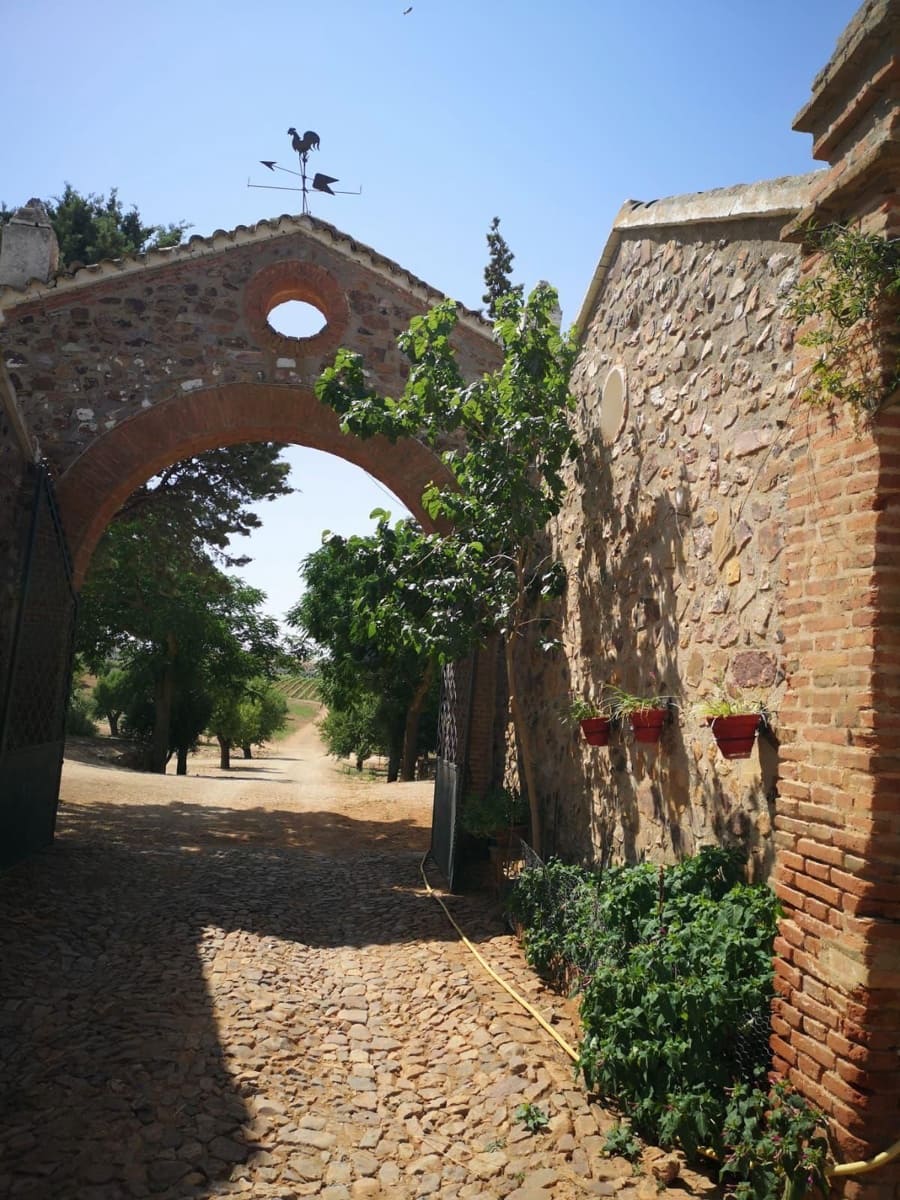 Finca/Country House for sale in Ciudad Real city - € 7,500,000 (Ref: 9495092)