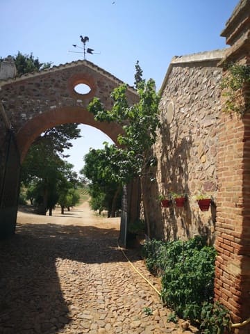 Finka/Dom wiejski na sprzedaż w Miasto Ciudad Real - 7 500 000 € (Ref: 9495092)