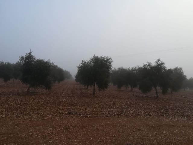 Finka/Dom wiejski na sprzedaż w Miasto Ciudad Real - 7 500 000 € (Ref: 9495092)