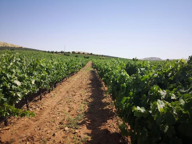 Finka/Dom wiejski na sprzedaż w Miasto Ciudad Real - 7 500 000 € (Ref: 9495092)