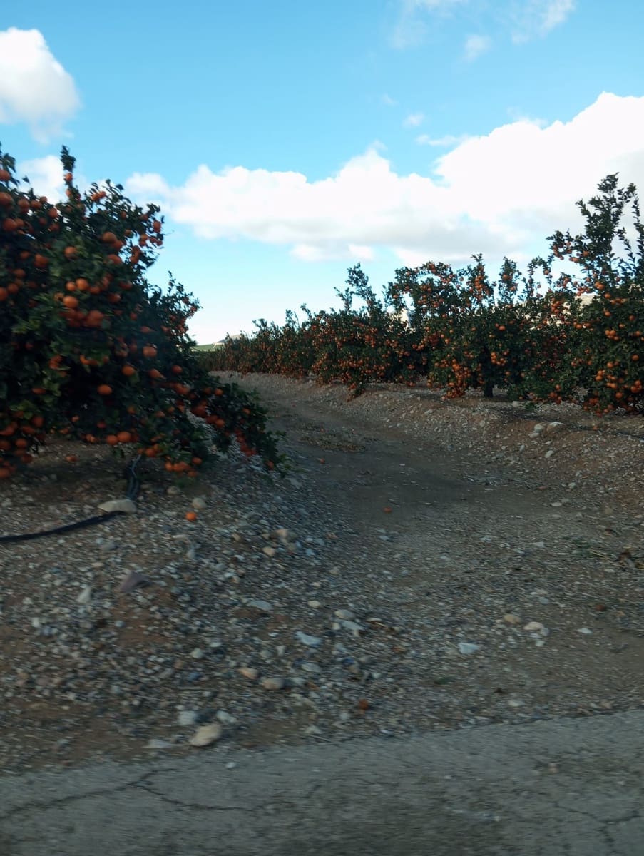 Finca/Landhuis te koop in Cuevas del Almanzora - € 15.000.000 (Ref: 9495093)